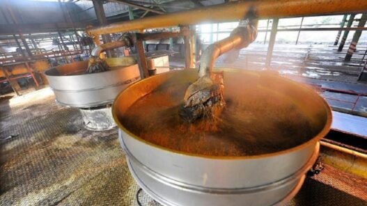 Production d'huile de palme au Cameroun