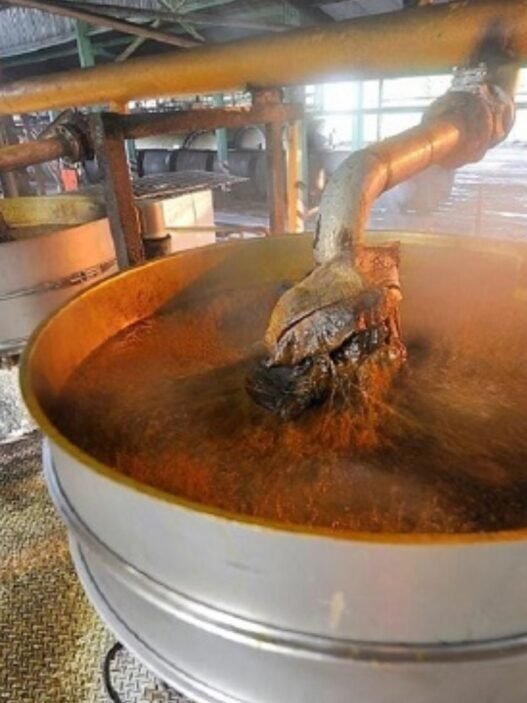 Production d'huile de palme au Cameroun