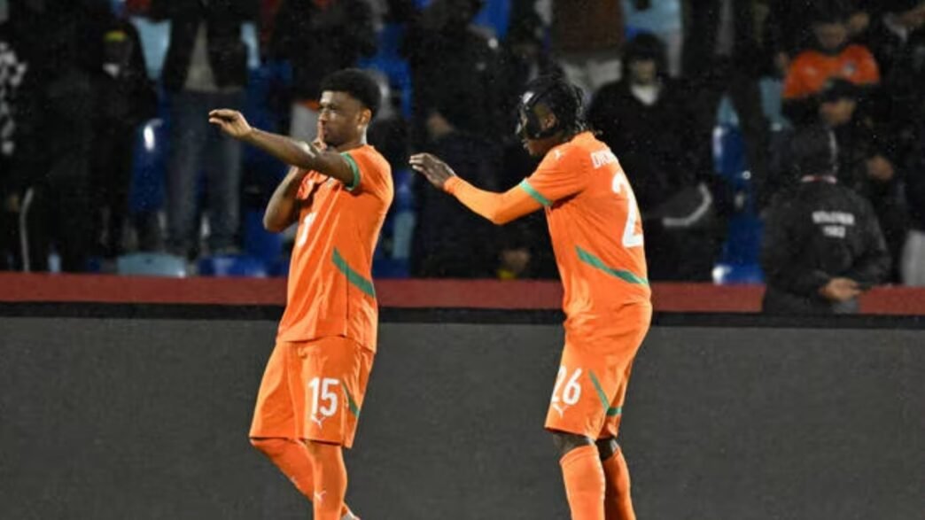 Éléphants de Côte d’Ivoire