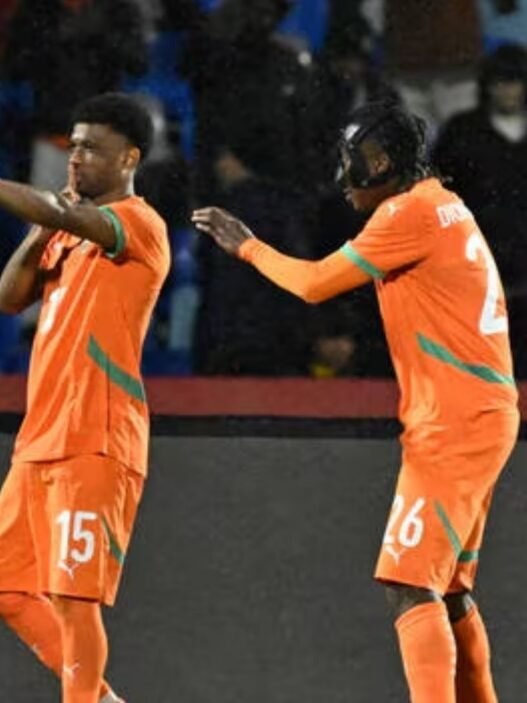 Éléphants de Côte d’Ivoire