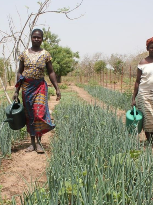 Société Faso‑Agropôle