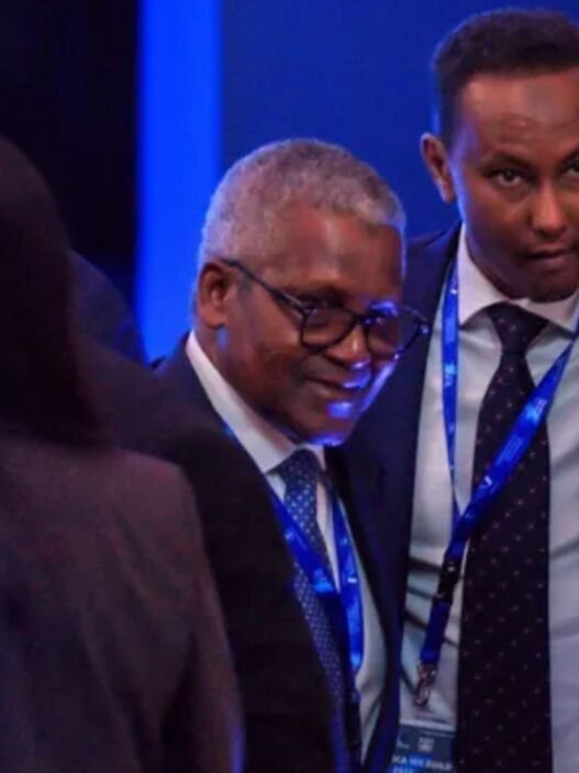 Raffinerie de Dangote en Afrique de l'Est