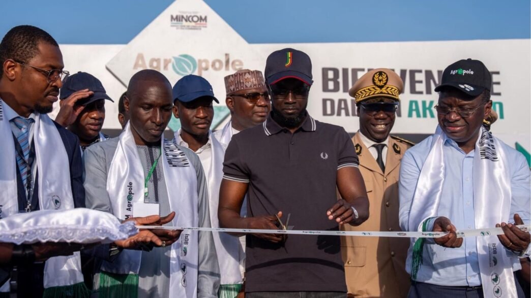 parc agro-industriel de Kolda