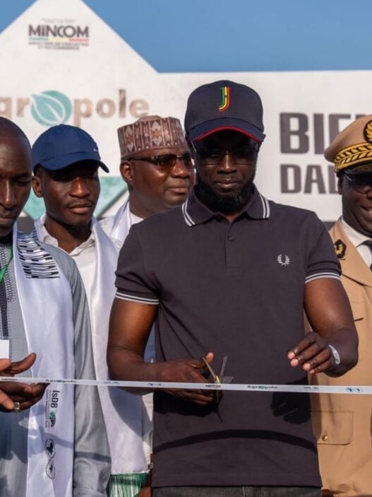 parc agro-industriel de Kolda