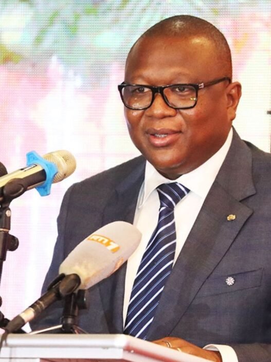 investissement privé en Côte d'Ivoire