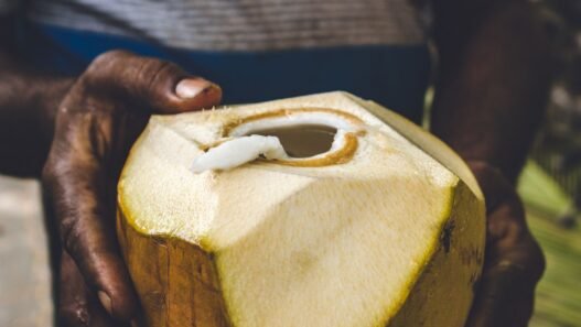 bienfaits de l'eau de coco