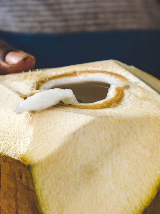 bienfaits de l'eau de coco