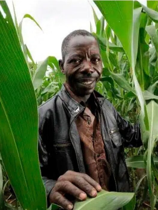 Projet Food Systems au Bénin