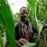 Projet Food Systems au Bénin