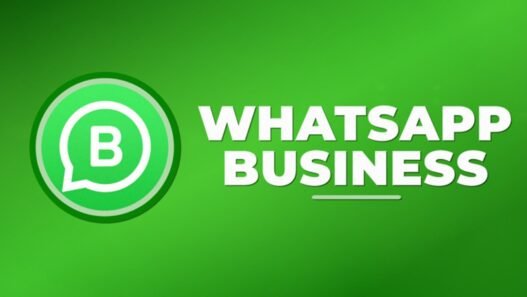 API WhatsApp Business