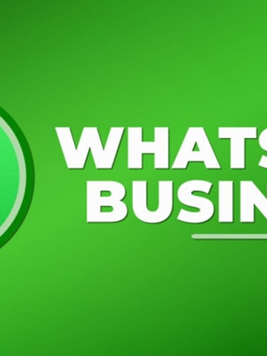 API WhatsApp Business