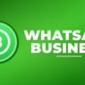 API WhatsApp Business