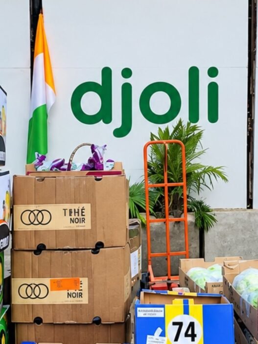 startup Djoli