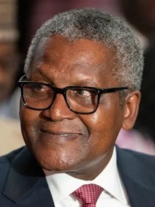 introduction en Bourse de Dangote