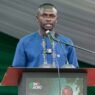 projet agro-industriel de Sadio Mané