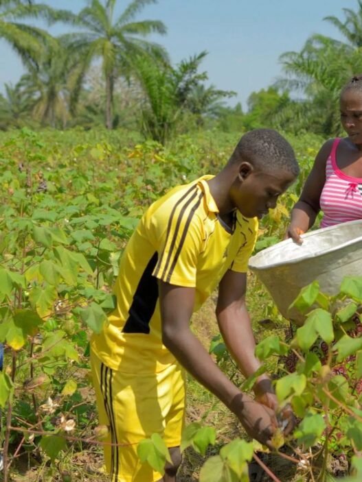 AgriConnect Cameroun