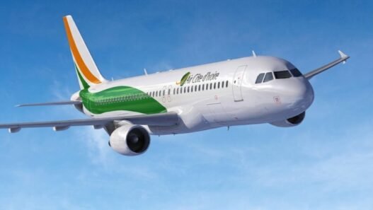 carburant d’aviation durable