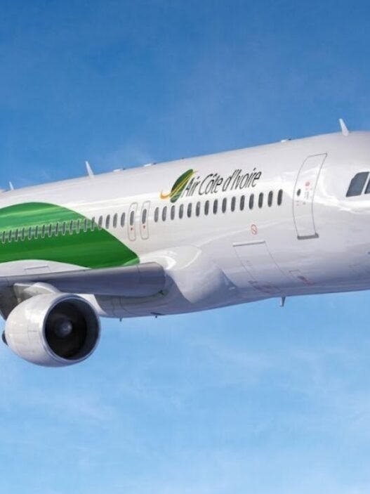carburant d’aviation durable