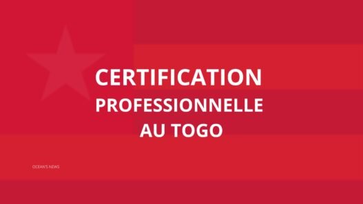 certification professionnelle au Togo
