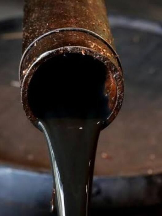 École des Mines et du Pétrole du Mali